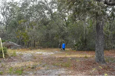 126 Terrell Street, Interlachen, FL 32148 - Photo 51