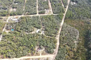 126 Terrell St, Interlachen, FL 32148 - Photo 59