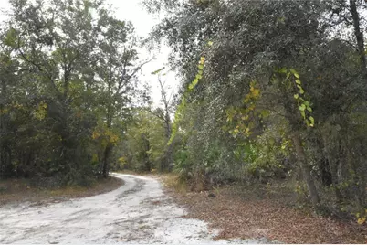 126 Terrell Street, Interlachen, FL 32148 - Photo 55