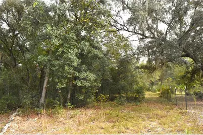 126 Terrell Street, Interlachen, FL 32148 - Photo 47