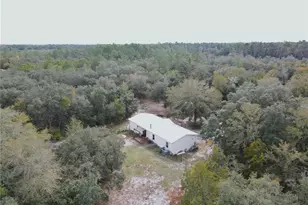 126 Terrell St, Interlachen, FL 32148 - Photo 19