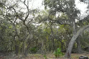 126 Terrell St, Interlachen, FL 32148 - Photo 53