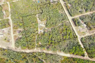 126 Terrell St, Interlachen, FL 32148 - Photo 11