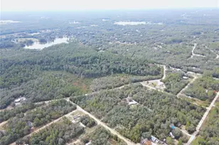 126 Terrell St, Interlachen, FL 32148 - Photo 57