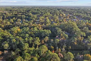 5609 NW 53rd Ct, Gainesville, FL 32653 - Photo 47