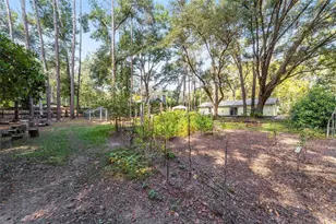 16305 NW 118th Pl, Alachua, FL 32615 - Photo 35
