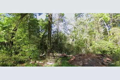 000 926th Street, Old Town, FL 32680 - Photo 3