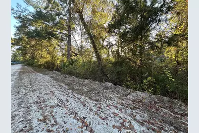 000 926th Street, Old Town, FL 32680 - Photo 1