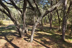 118 Lemon St, Melrose, FL 32666 - Photo 17