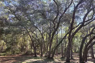 118 Lemon St, Melrose, FL 32666 - Photo 31