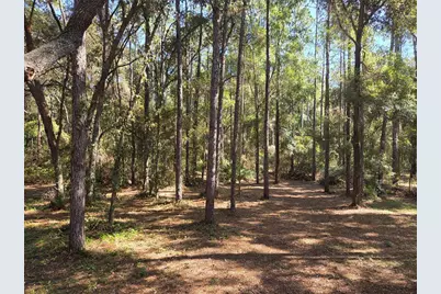 118 Lemon Street, Melrose, FL 32666 - Photo 33