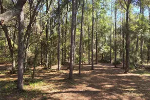 118 Lemon St, Melrose, FL 32666 - Photo 33