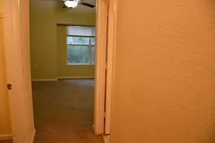 5062 NW 44th Ln, Gainesville, FL 32606 - Photo 13