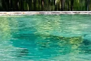 16910 NW 212th Terrace, High Springs, FL 32643 - Photo 51