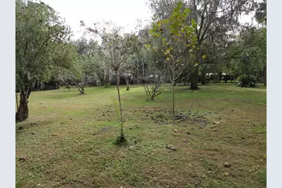 101 NW 3rd Avenue, Micanopy, FL 32667 - Photo 3