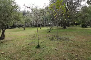 101 NW 3rd Ave, Micanopy, FL 32667 - Photo 3