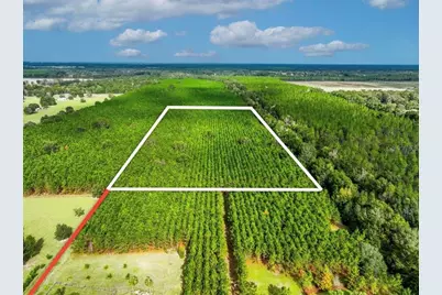 000 NW 78th Avenue, Newberry, FL 32669 - Photo 3