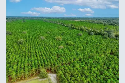 000 NW 78th Avenue, Newberry, FL 32669 - Photo 17