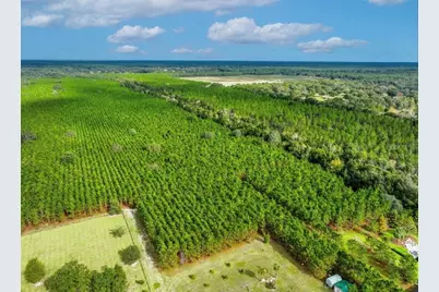 000 NW 78th Avenue, Newberry, FL 32669 - Photo 13