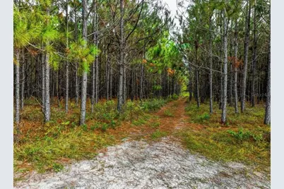 000 NW 78th Avenue, Newberry, FL 32669 - Photo 23