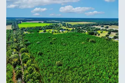 000 NW 78th Avenue, Newberry, FL 32669 - Photo 11