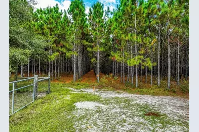 000 NW 78th Avenue, Newberry, FL 32669 - Photo 21