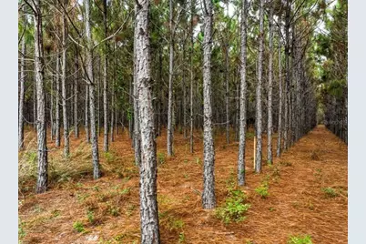 000 NW 78th Avenue, Newberry, FL 32669 - Photo 5