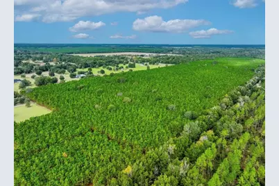 000 NW 78th Avenue, Newberry, FL 32669 - Photo 15