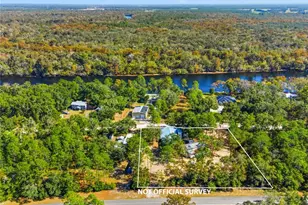 221 NE 838th St, Old Town, FL 32680 - Photo 7