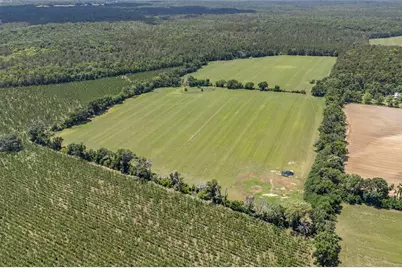 227th Drive, High Springs, FL 32643 - Photo 15