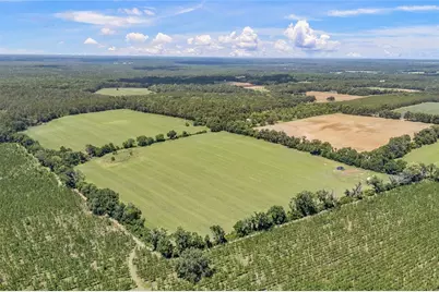 227th Drive, High Springs, FL 32643 - Photo 11