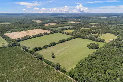 227th Drive, High Springs, FL 32643 - Photo 19