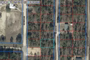 NE 150th Ct, Williston, FL 32696 - Photo 1