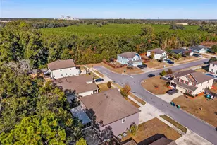 1048 NW 233rd Dr, Newberry, FL 32669 - Photo 49