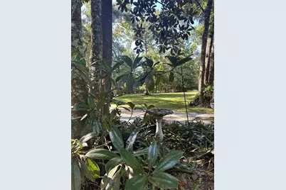 79 NE 242nd Avenue, Old Town, FL 32680 - Photo 25