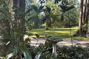 79 NE 242nd Ave, Old Town, FL 32680 - Photo 25