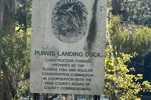 79 NE 242nd Ave, Old Town, FL 32680 - Photo 19