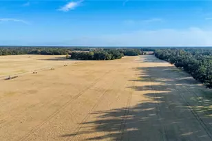 18708 County Road 250, Live Oak, FL 32060 - Photo 47