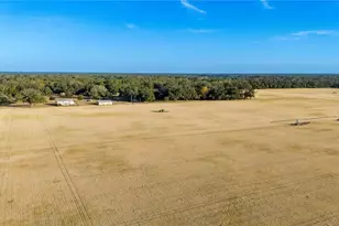 18708 County Road 250, Live Oak, FL 32060 - Photo 47