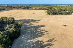 18708 County Road 250, Live Oak, FL 32060 - Photo 51