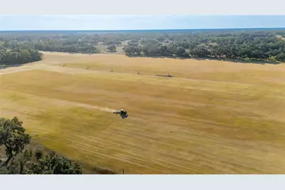 18708 County Road 250, Live Oak, FL 32060 - Photo 1