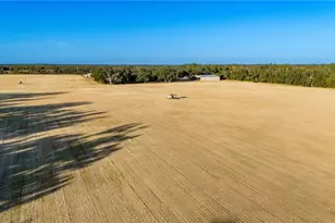 18708 County Road 250, Live Oak, FL 32060 - Photo 49