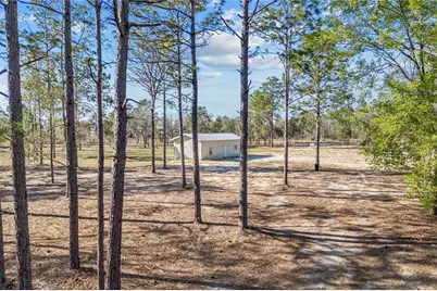 2190 NE 130th Avenue, Williston, FL 32696 - Photo 9