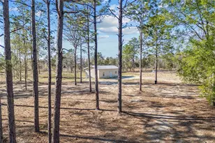 2190 NE 130th Ave, Williston, FL 32696 - Photo 9