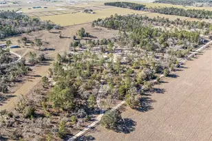 2190 NE 130th Ave, Williston, FL 32696 - Photo 31