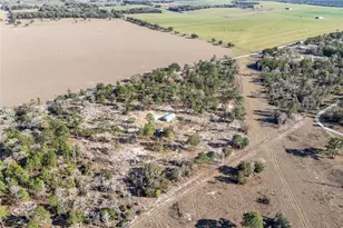 2190 NE 130th Ave, Williston, FL 32696 - Photo 39