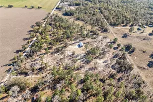 2190 NE 130th Ave, Williston, FL 32696 - Photo 41