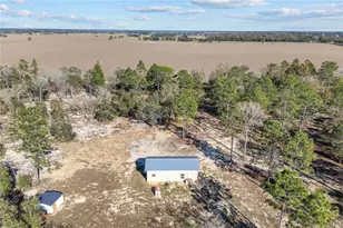 2190 NE 130th Ave, Williston, FL 32696 - Photo 7