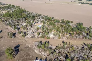 2190 NE 130th Ave, Williston, FL 32696 - Photo 35