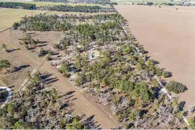 2190 NE 130th Avenue, Williston, FL 32696 - Photo 33